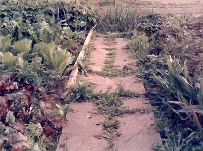 'Gartenweg Willich', 2001 von Simone Nieweg